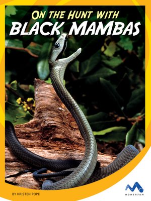 cover image of On the Hunt with Black Mambas